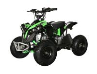 Электрический квадроцикл MOTAX  ATV CAT 1000W